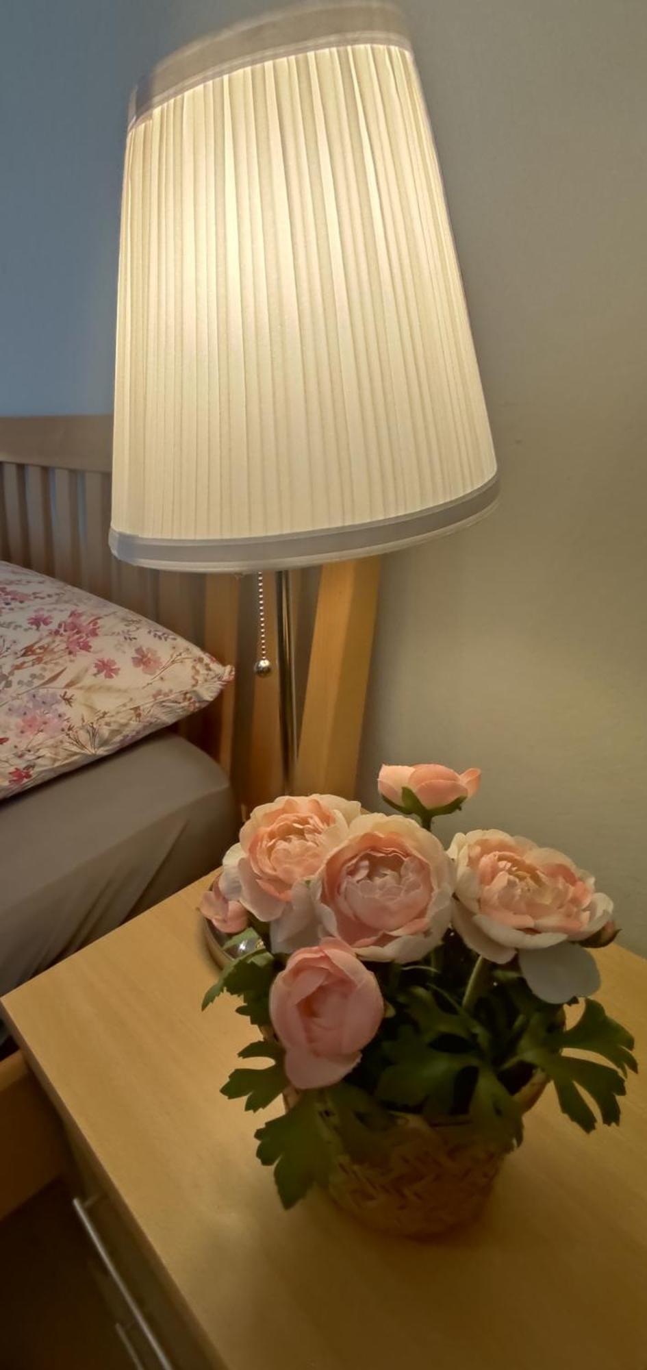Ferienwohnung Sonnenfeld Freilassing Εξωτερικό φωτογραφία